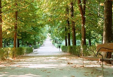 Parque Alexandre Brandt