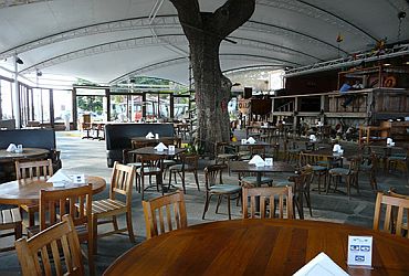 Restaurantes: Zéfiro