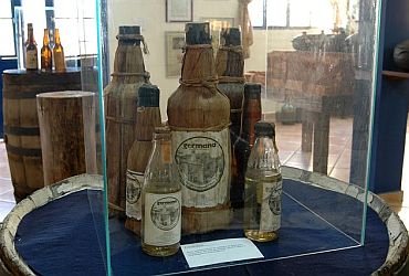 Arte: Museu da Cachaça