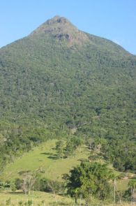 Viagens: Pico do Cambirela