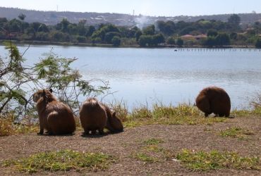 Viagens: Lagoa Santa