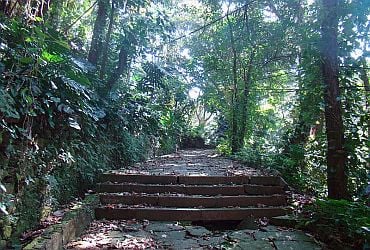Imagem de destaque para Parque da Cidade de Niterói