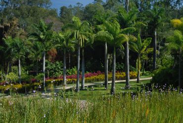 Jardim Botânico Inhotim