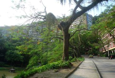 Parque Eduardo Guinle