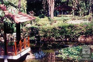 Jardim Japonês