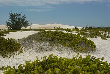 Viagens: Parque das Dunas de Cabo Frio