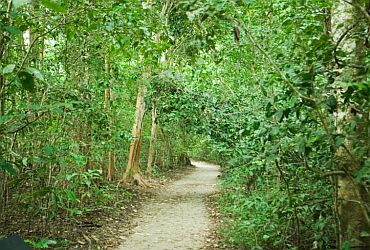 Viagens: Caminho da Uva e das Águas