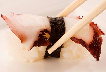 Restaurantes: Miss Gourmet Sushi Café