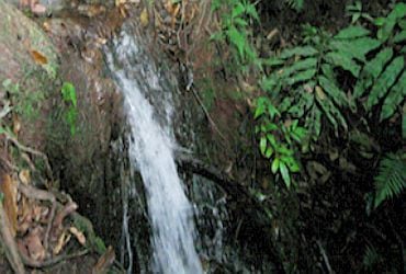 Parque Cônsul Assaf Trad