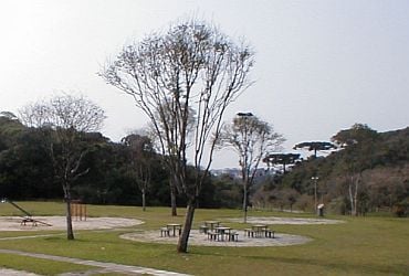Bosque Pilarzinho