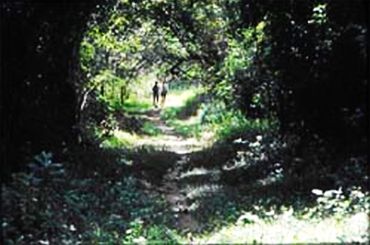 Imagem de destaque para Parque Florestal do Rio Vermelho