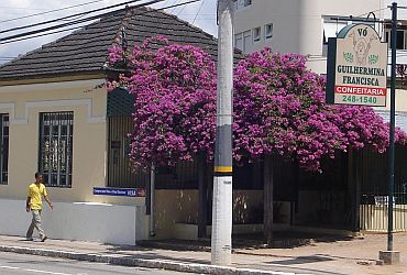 Confeitaria Vó Guilhermina Francisca