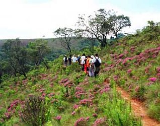 Viagens: Bosque do Silêncio