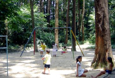 Parque dos Eucaliptos