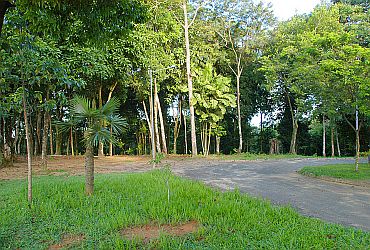 Viagens: Jardim Botânico de Salvador