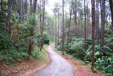 Parque Anhanguera