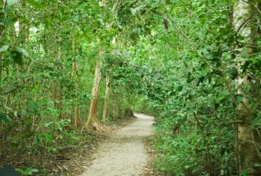 Parque Esportivo dos Trabalhadores