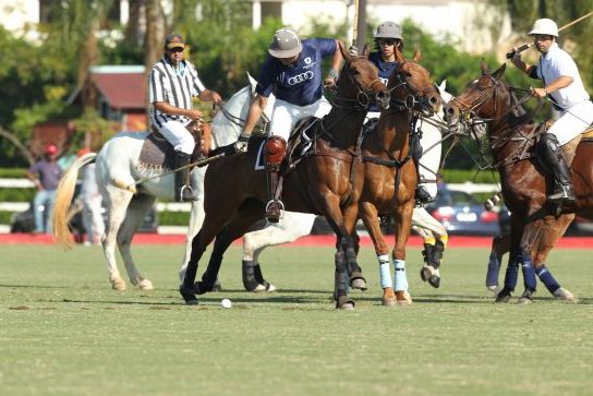 Resultado da busca por Helvetia Polo Clube