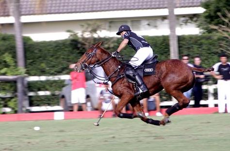 Esportes: Onde jogar pólo