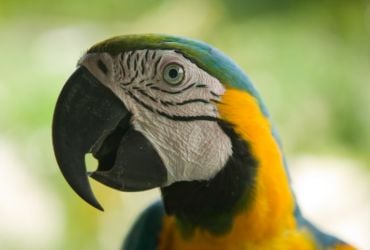 Viagens: Jardim Zoológico de Niterói