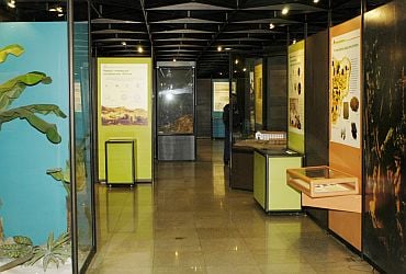 Museu de Valores do Banco Central