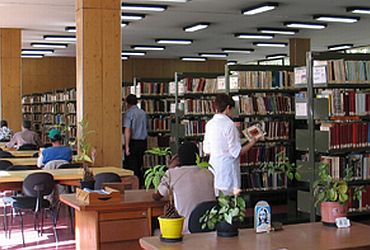 Arte: Biblioteca Pública Afonso Taunay