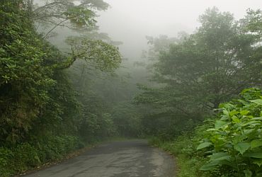 Viagens: Sítio Cachoeira do Alcantilado