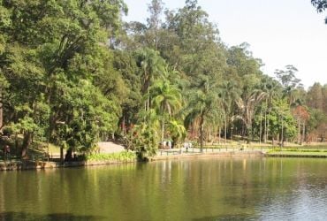 Horto Florestal (Parque Estadual Albert Löefgren)