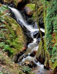 Carreta da Alegria em São Roque: atração acontece nesta sexta-feira no  Recanto da Cascata