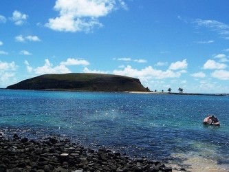 Viagens: Abrolhos