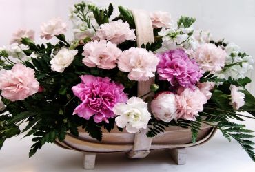 Floriculturas Floricultura Rainha das Flores São Paulo Guia da Semana