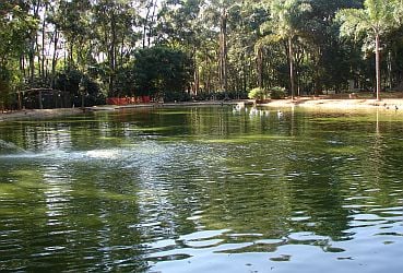 Parque do Piqueri