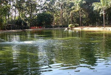 Viagens: Parque do Piqueri