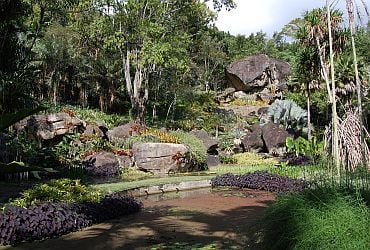 Sítio Roberto Burle Marx