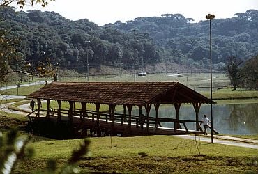 Parque Tingui