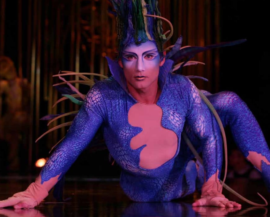 Arte: Cirque du Soleil - Varekai - Figurinos