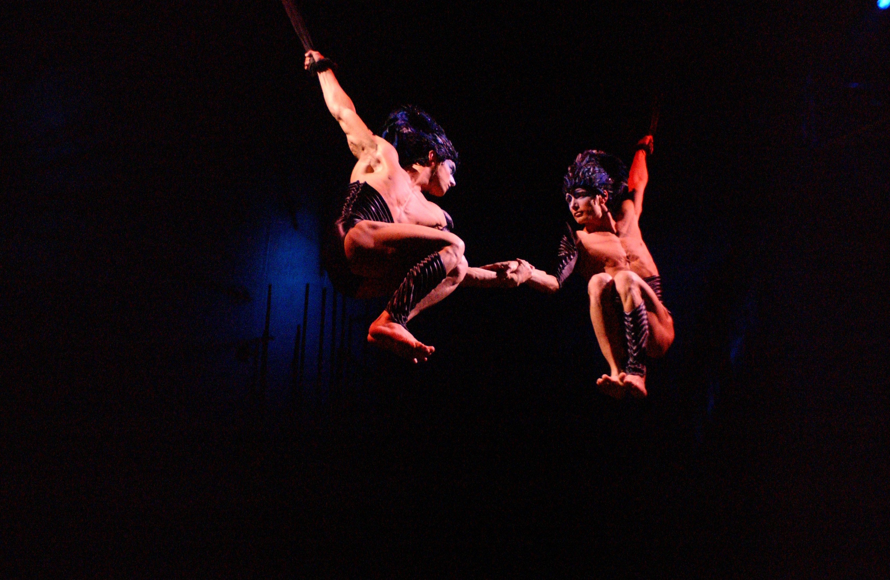 Cirque du Soleil - Varekai - Curiosidades