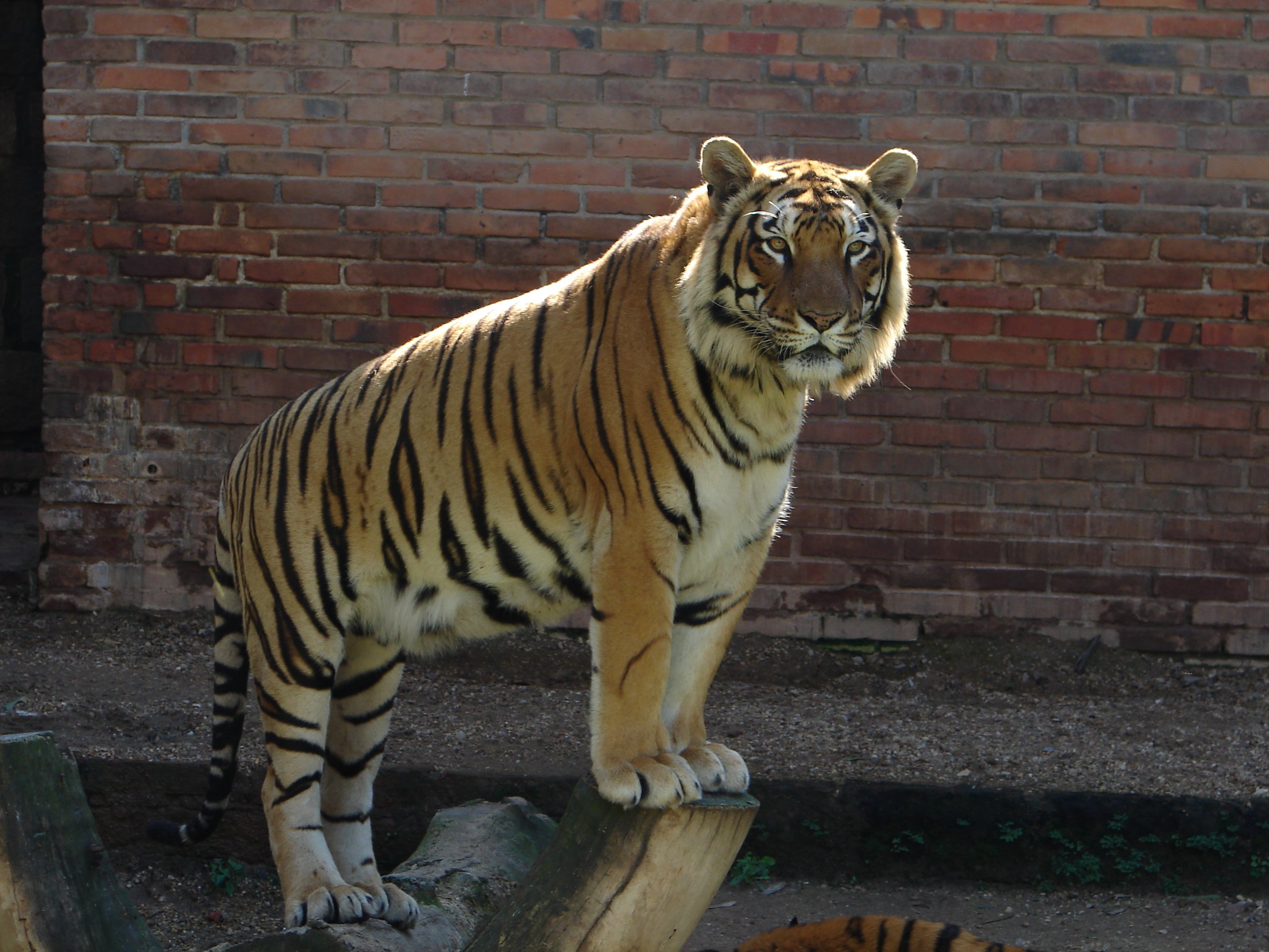 Parque Zoológico de Sapucaia do Sul