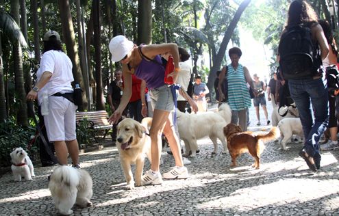 Esportes: Cãonhecendo São Paulo