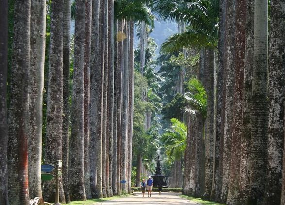 Viagens: Jardim Botânico