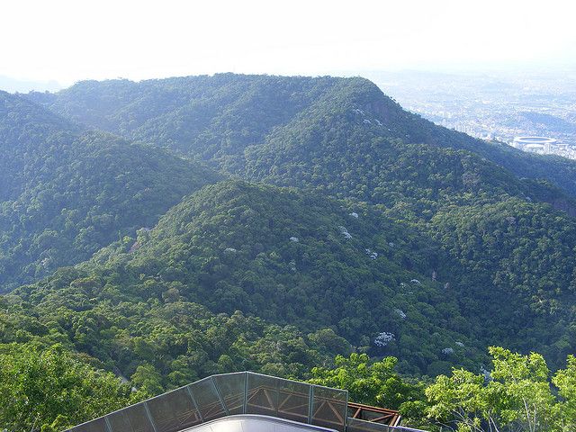 Viagens: Parque Nacional da Tijuca