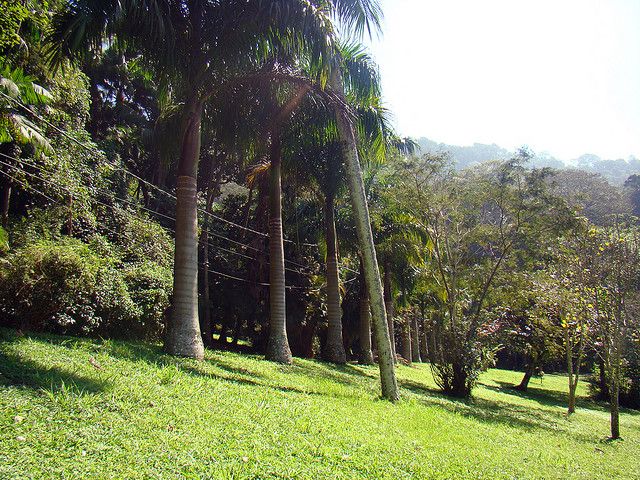 Parque da Cidade