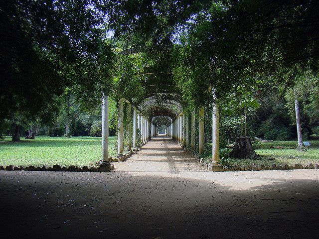 Viagens: Parques no Rio de Janeiro