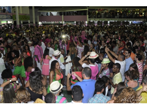 Viagens: Ensaios do Carnaval 2013 no Rio de Janeiro