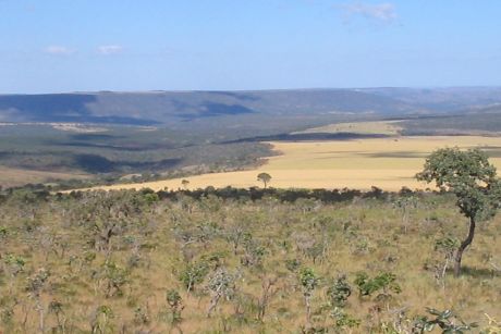 Parque nacional de Brasília (Clube Água Mineral) -- Brasília DF 