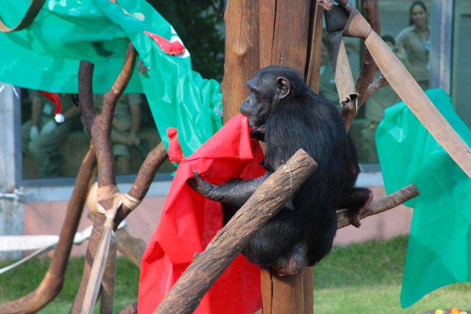 Zoológico de São Paulo