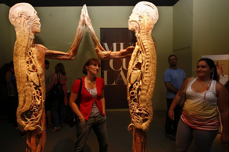 Compras: Exposição O Fantástico Corpo Humano