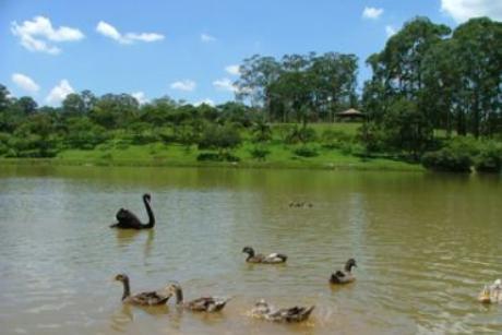 Viagens: Piquenique no Parque