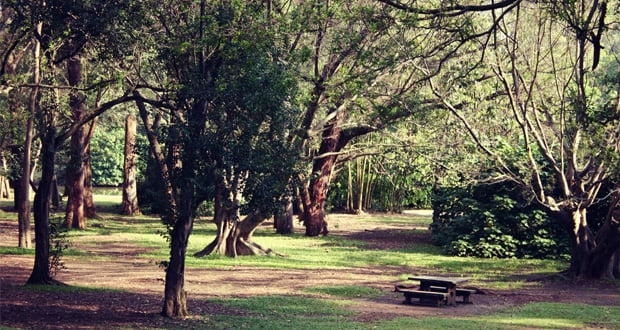 Viagens: Melhores passeios na Zona Sul de SP