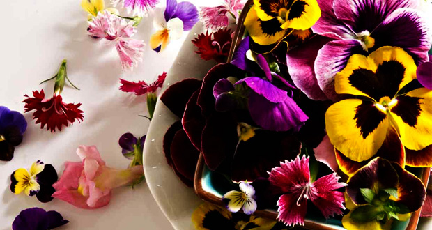 As flores comestíveis